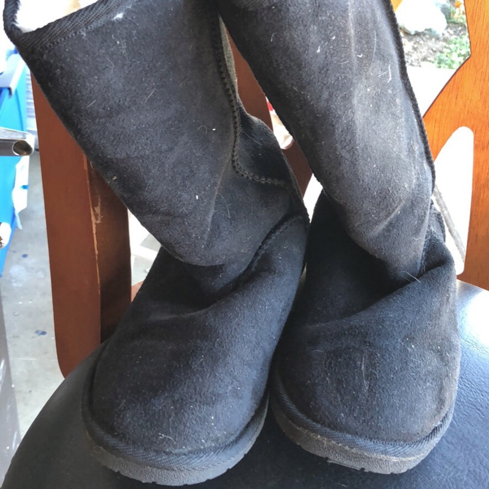 Black Bear paws